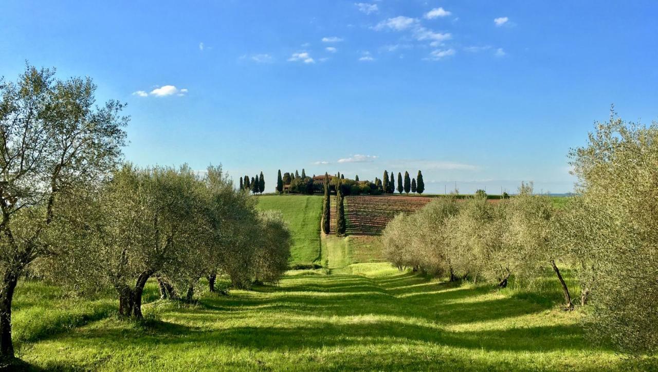 Residenza D'epoca La Rosa *
