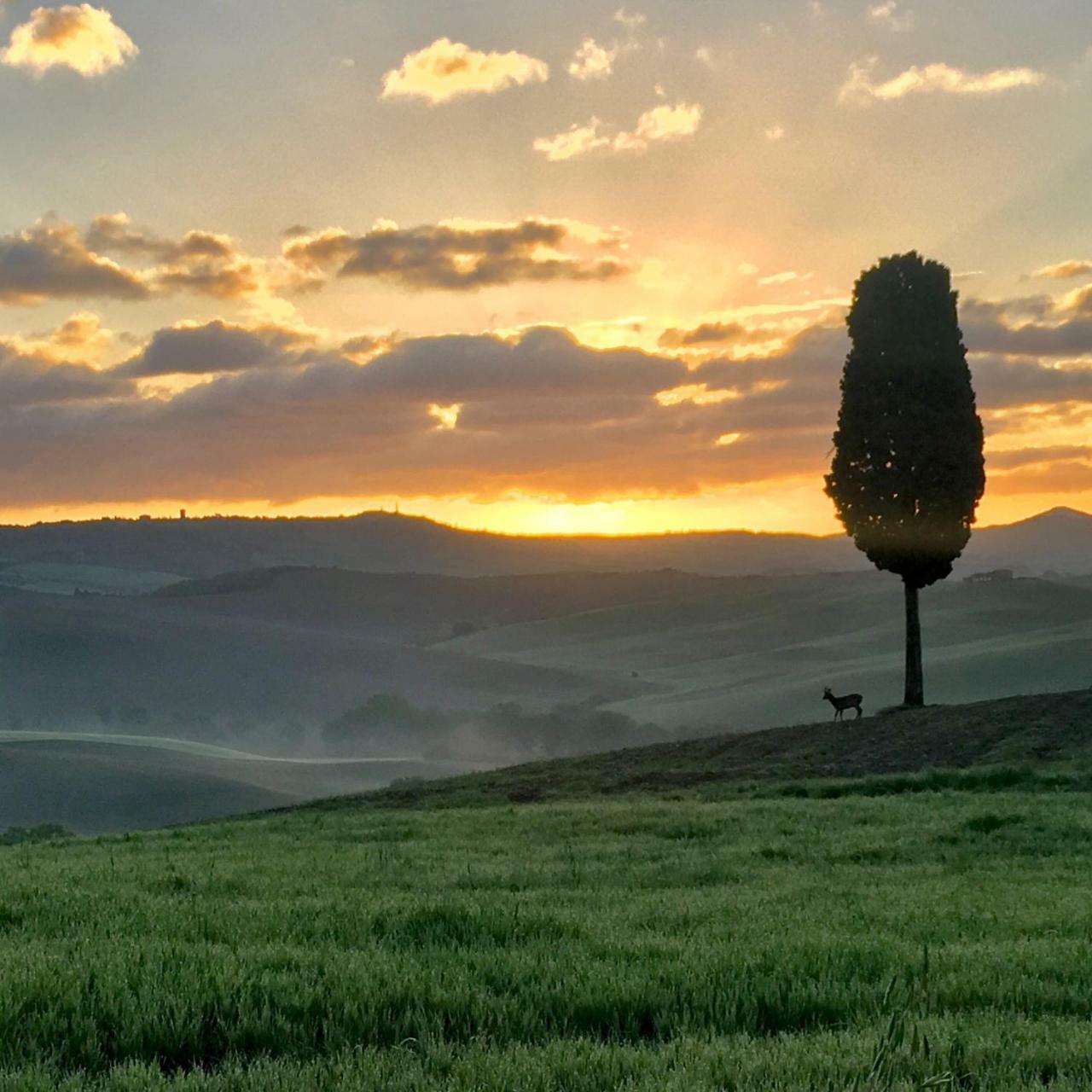 Residenza D'epoca La Rosa Apartamento Pienza