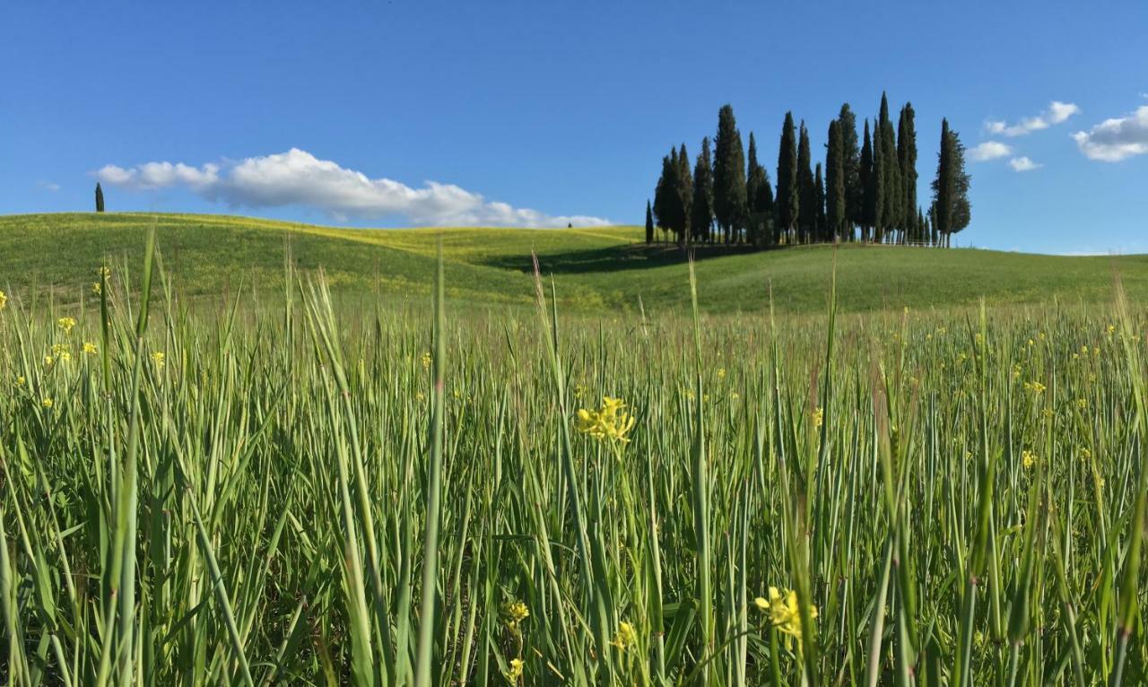 Residenza D'epoca La Rosa *